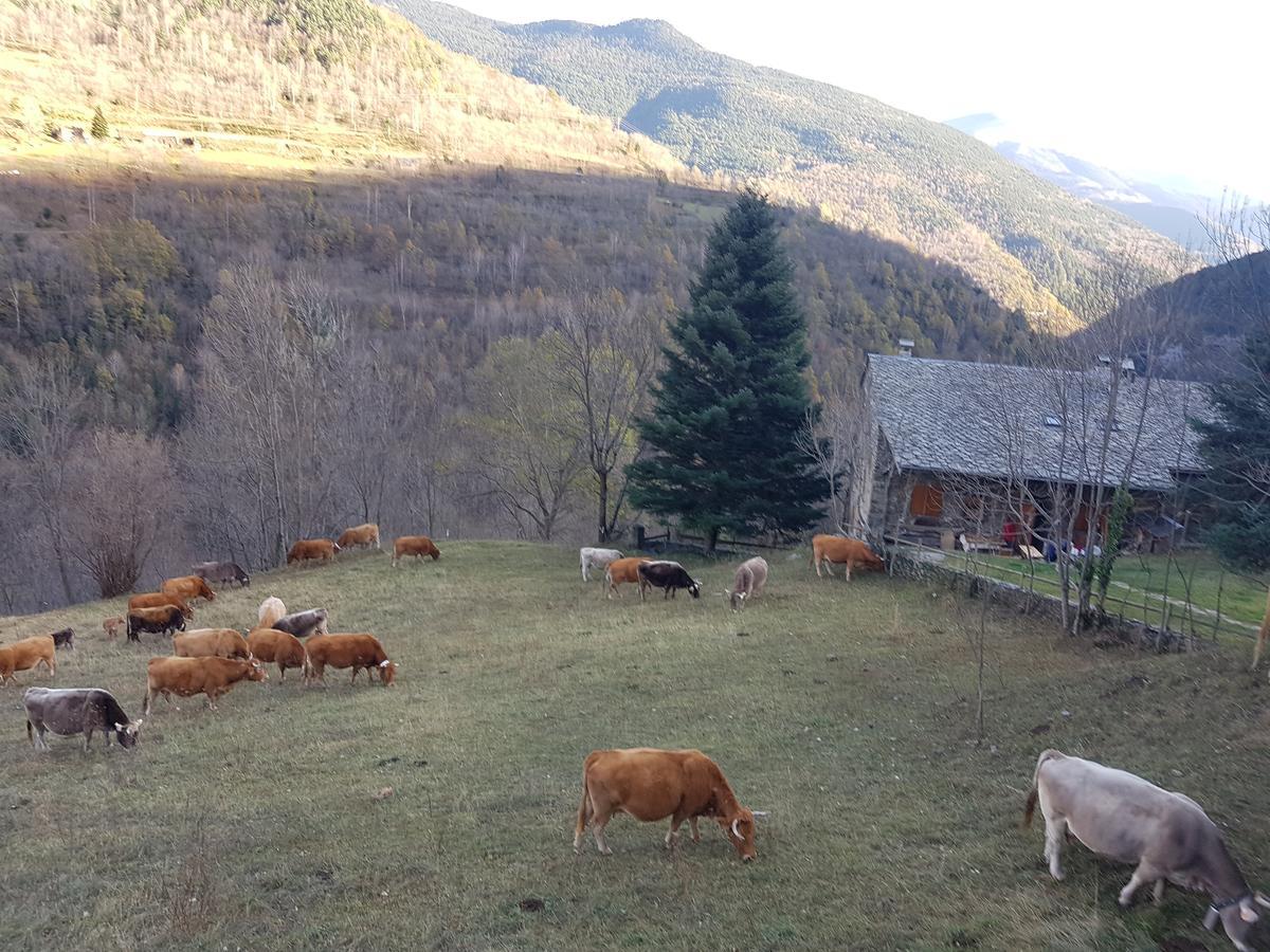 Готель Rural L'Ortiga Blanca Керальбс Екстер'єр фото
